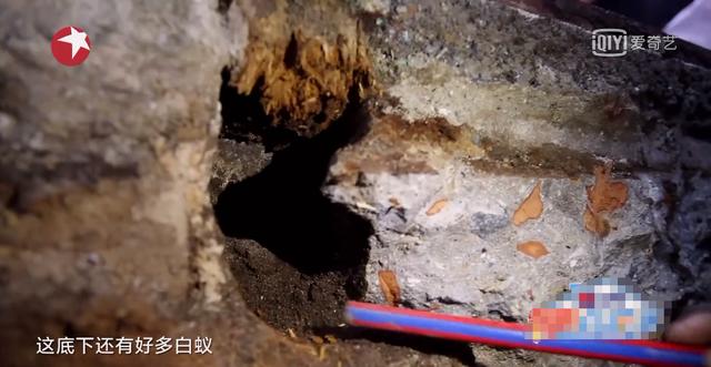 99歲嬤歷經動亂「學會看淡生離」住80年老房想念父親 與4兒同住「全家大小愛好書畫」天天齊聚創作話家常