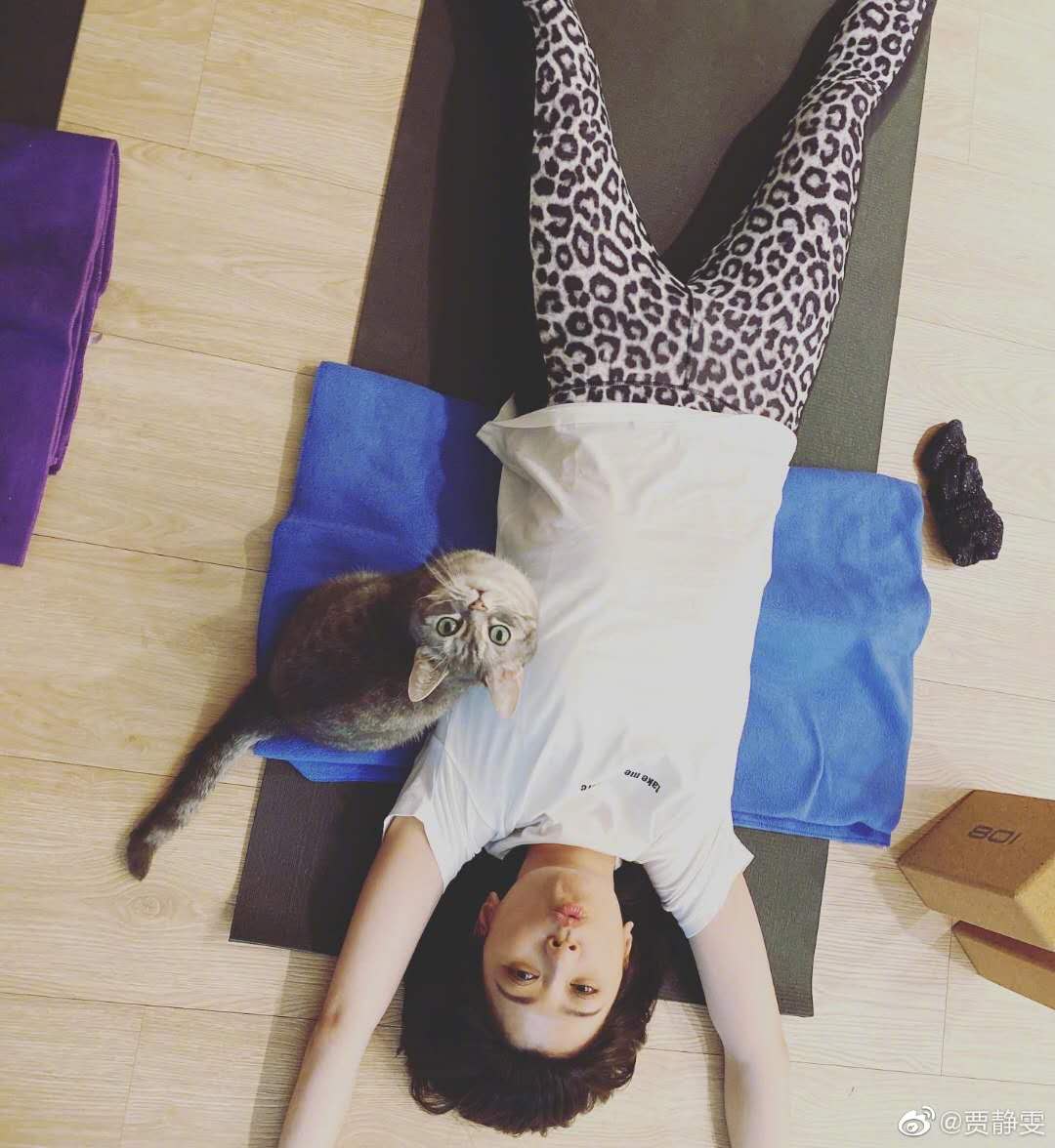 45歲賈靜雯「素顏」曬高難度瑜伽動作!「S型身材+蜜桃臀」體態輕盈似少女,腰上看不到一絲贅肉