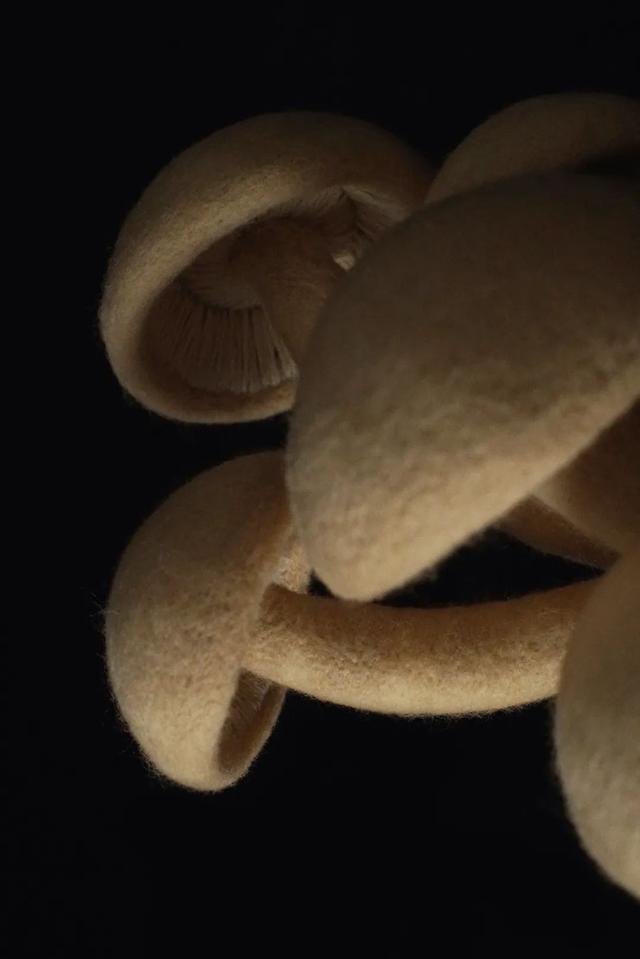 不上班不讀書！少女畢業「宅11年做手工藝」前3年零收入　老公最早發現天賦「督促她必須前進」今揚名海外