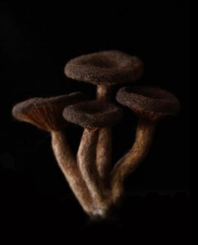 不上班不讀書！少女畢業「宅11年做手工藝」前3年零收入　老公最早發現天賦「督促她必須前進」今揚名海外