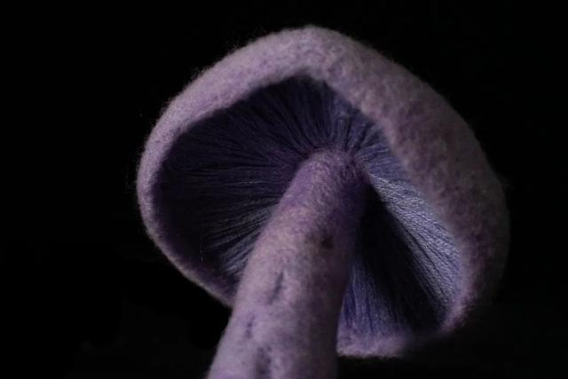 不上班不讀書！少女畢業「宅11年做手工藝」前3年零收入　老公最早發現天賦「督促她必須前進」今揚名海外