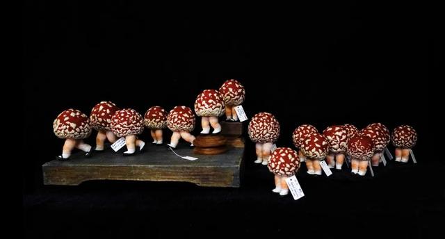 不上班不讀書！少女畢業「宅11年做手工藝」前3年零收入　老公最早發現天賦「督促她必須前進」今揚名海外