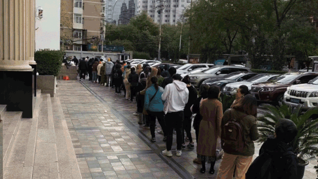 不上班不讀書！少女畢業「宅11年做手工藝」前3年零收入　老公最早發現天賦「督促她必須前進」今揚名海外