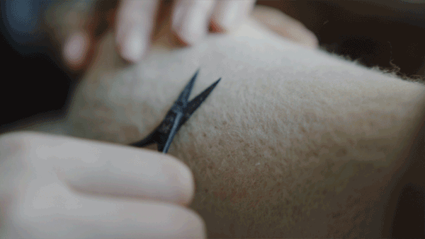 不上班不讀書！少女畢業「宅11年做手工藝」前3年零收入　老公最早發現天賦「督促她必須前進」今揚名海外