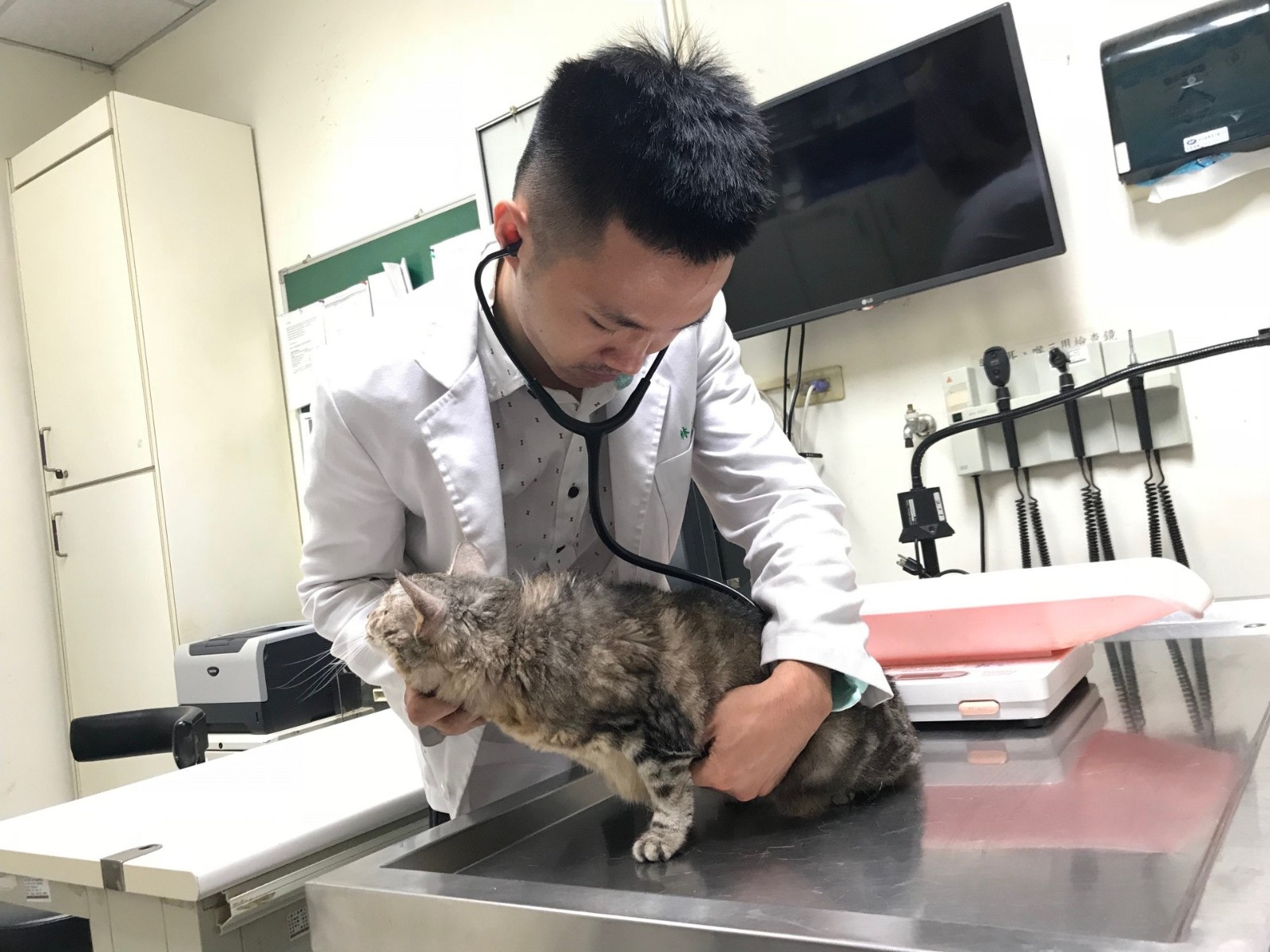 是好事嗎？台大獸醫突然「繼承爺爺2億財產」心裡卻發慌　他坦言「真的不敢碰」：寧願騎車上班