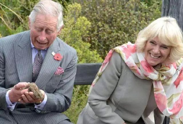 二婚嫁王室！梅根雍容華貴，卡蜜拉被寵上天     「她」讓小25歲總統直接當爺爺