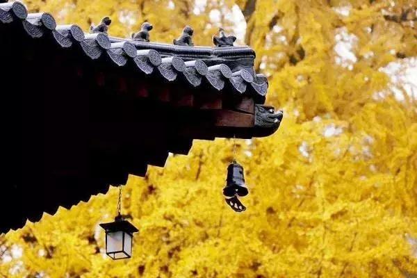 生兒生女早已註定！「父母跟子女的4種緣分」原來皆是因果輪迴