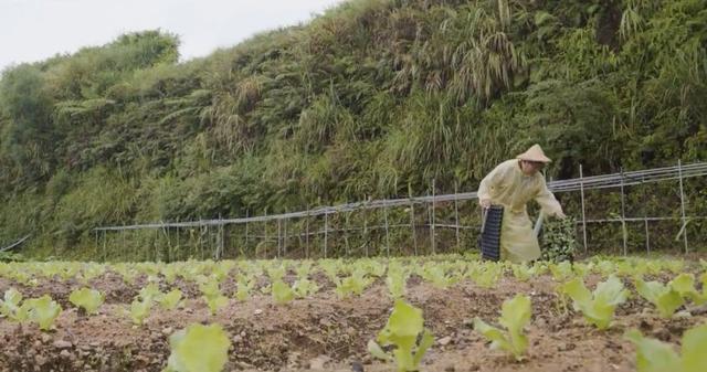 退休後更精彩！教授夫妻傾盡家產「荒山野嶺住20年」　「打造完美民宿」養雞餵鴨神仙般生活