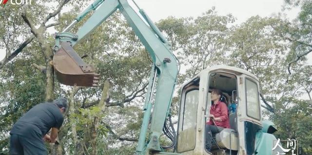 退休後更精彩！教授夫妻傾盡家產「荒山野嶺住20年」　「打造完美民宿」養雞餵鴨神仙般生活