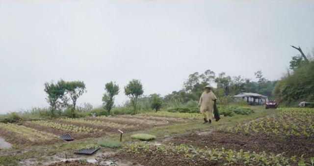 退休後更精彩！教授夫妻傾盡家產「荒山野嶺住20年」　「打造完美民宿」養雞餵鴨神仙般生活