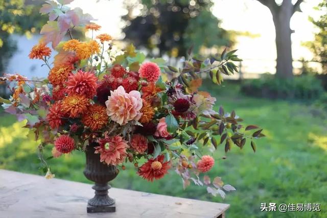 不辜負彼此就好！劉若英「父母從未吵過架」卻離婚收場　各自試著去愛「餘生如親人相伴」：這樣的人生可以了