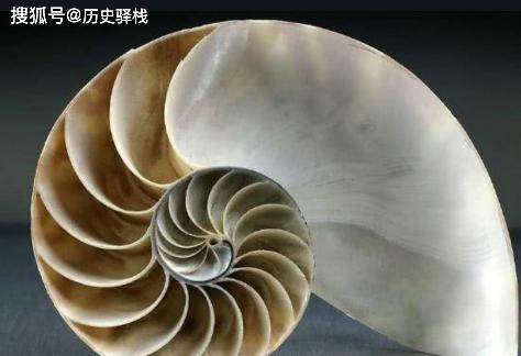 怎麼喝都喝不空！考古出土「1600年神奇酒杯 」一眼看不到底　「X光下 」專家揭秘：難怪可盛300杯