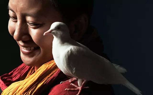 13歲選擇出家!脫離家庭陰影「看破紅塵入寺」詠唱梵音如天籟 化名利為慈善「建學校開醫院」視助人為使命