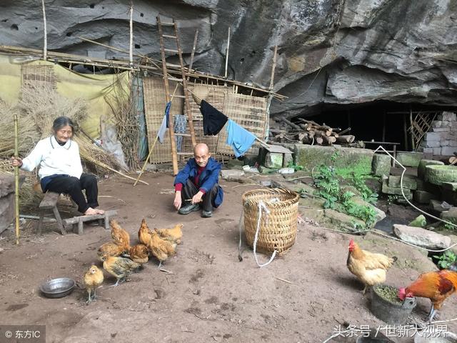 隱居山洞58年！貧困夫妻「喝泉水吃野菜」過原始人生活　教出工程師兒子「搬回城市2天後悔了」