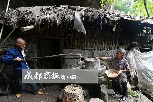 隱居山洞58年！貧困夫妻「喝泉水吃野菜」過原始人生活　教出工程師兒子「搬回城市2天後悔了」