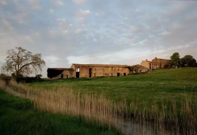 被稱「年輕版的塔莎阿嬤」！ 40歲的她養著8個孩子14條狗，自給自足「活出女人嚮往的精緻模樣」