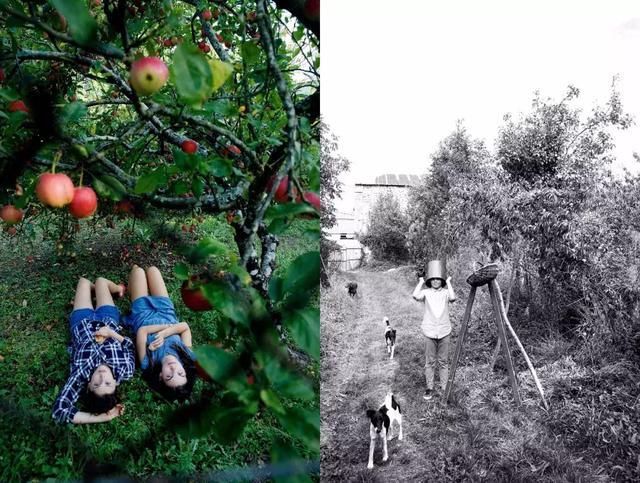 被稱「年輕版的塔莎阿嬤」！ 40歲的她養著8個孩子14條狗，自給自足「活出女人嚮往的精緻模樣」