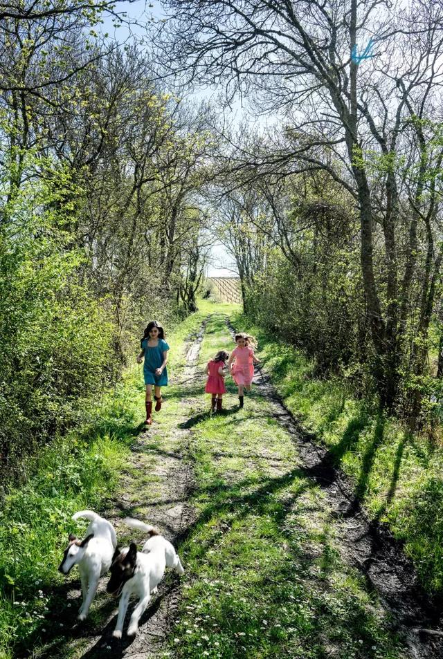 被稱「年輕版的塔莎阿嬤」！ 40歲的她養著8個孩子14條狗，自給自足「活出女人嚮往的精緻模樣」