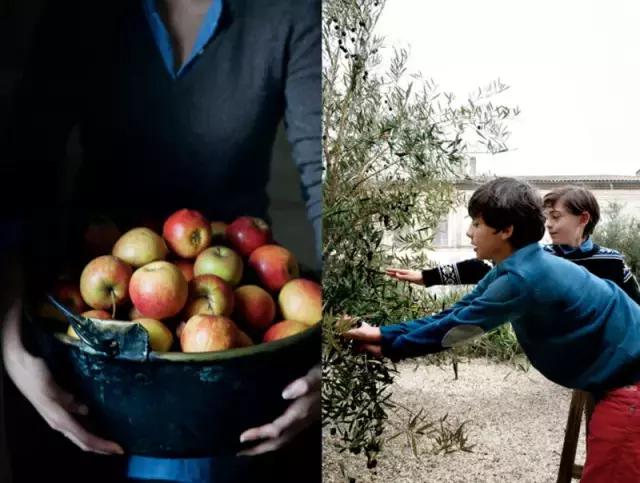 被稱「年輕版的塔莎阿嬤」！ 40歲的她養著8個孩子14條狗，自給自足「活出女人嚮往的精緻模樣」