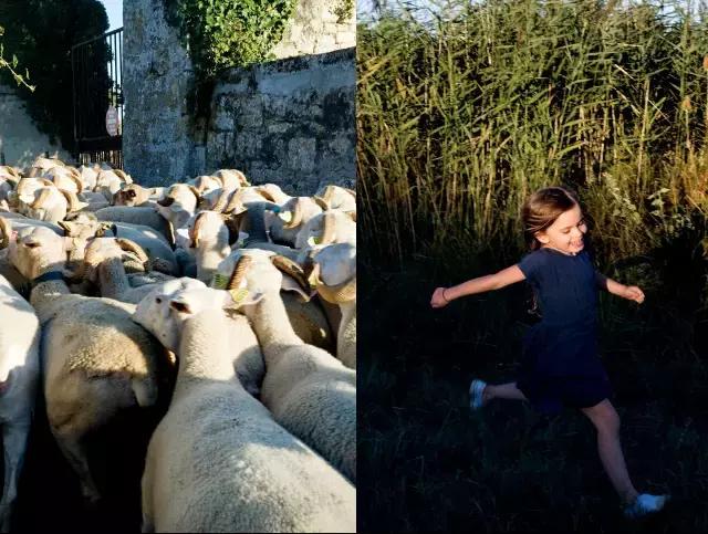 被稱「年輕版的塔莎阿嬤」！ 40歲的她養著8個孩子14條狗，自給自足「活出女人嚮往的精緻模樣」