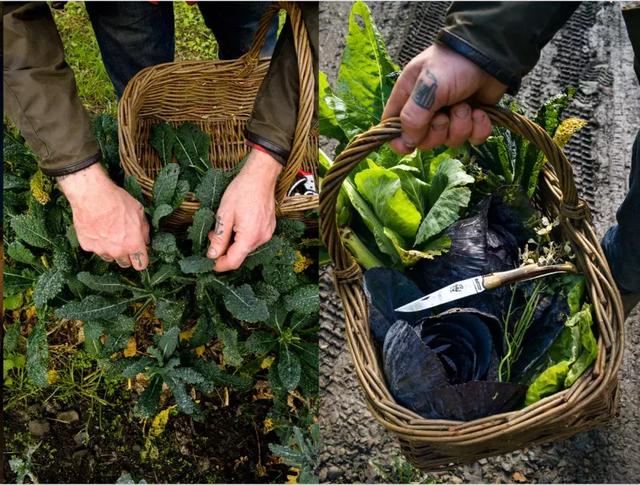 被稱「年輕版的塔莎阿嬤」！ 40歲的她養著8個孩子14條狗，自給自足「活出女人嚮往的精緻模樣」