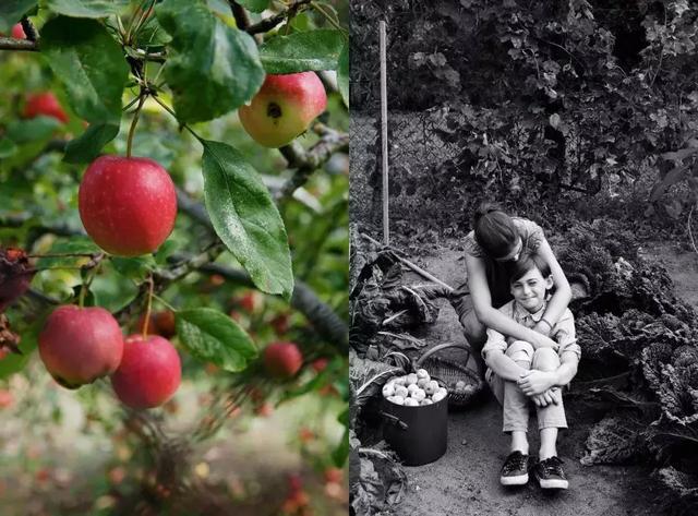 被稱「年輕版的塔莎阿嬤」！ 40歲的她養著8個孩子14條狗，自給自足「活出女人嚮往的精緻模樣」