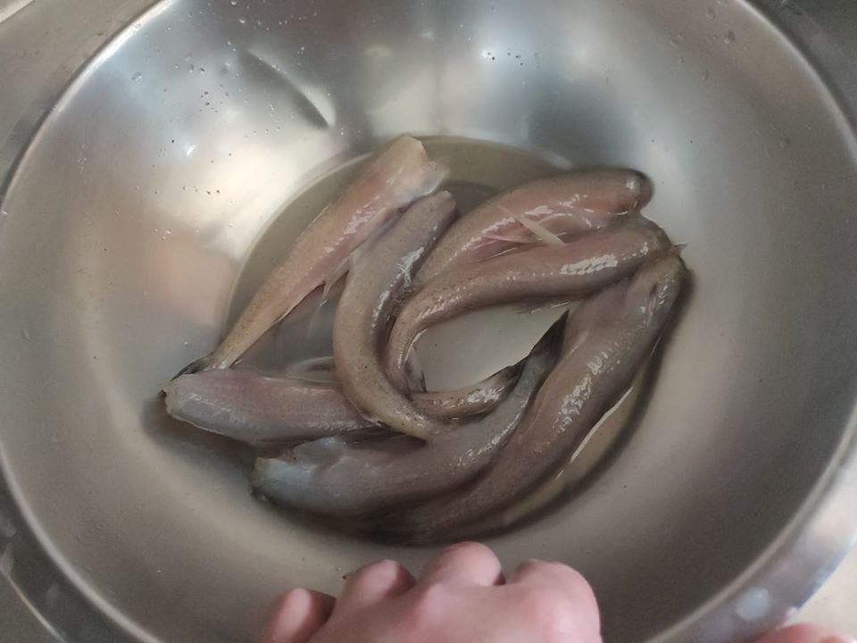 從來沒看過！老闆好心送「那個魚」人夫跳針狂問：哪個？　內行人笑曝身分「酥炸很涮嘴」