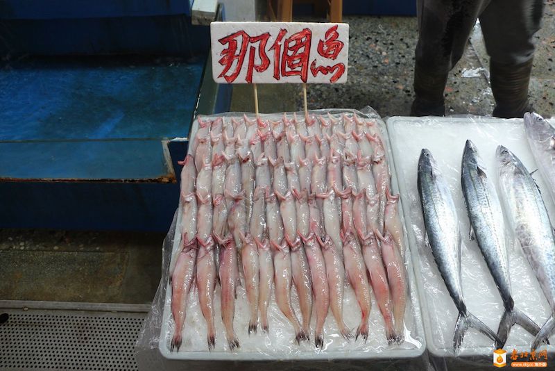 從來沒看過！老闆好心送「那個魚」人夫跳針狂問：哪個？　內行人笑曝身分「酥炸很涮嘴」
