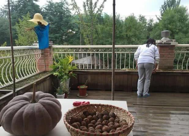 比駙馬還懂享受！「爾康」鄉下豪宅内景曝光：氣勢恢宏古色古香，與千畝良田構成「巨幅太極圖」