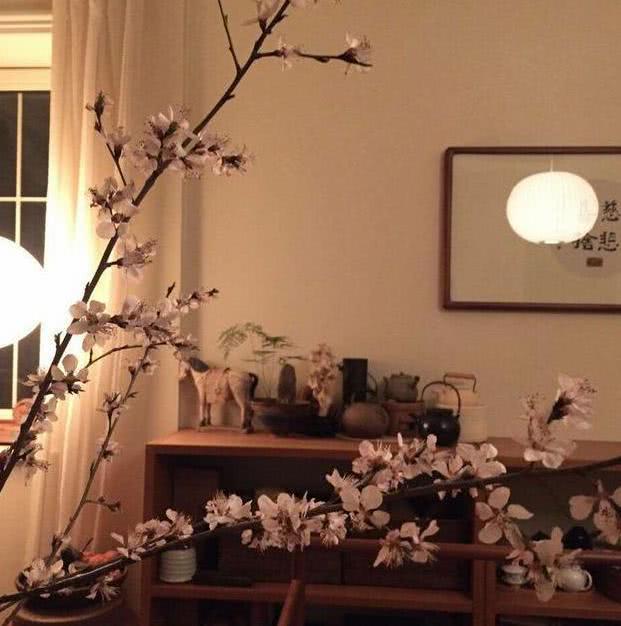 比駙馬還懂享受！「爾康」鄉下豪宅内景曝光：氣勢恢宏古色古香，與千畝良田構成「巨幅太極圖」