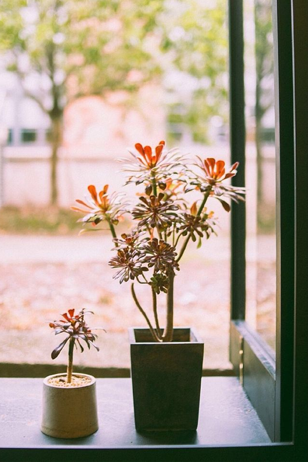 血型決定性格脾氣！女人「你是什麼血型」就是什麼脾氣　B型是「容易亂花錢的人」