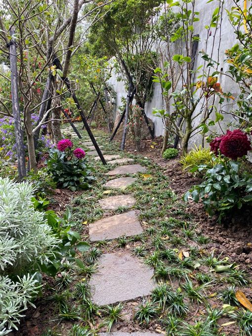 當開心農夫!林國基為90歲老母「砸百萬裝修」打造無障礙空間 捧現金「買陽明山千萬豪宅」種2千棵植物