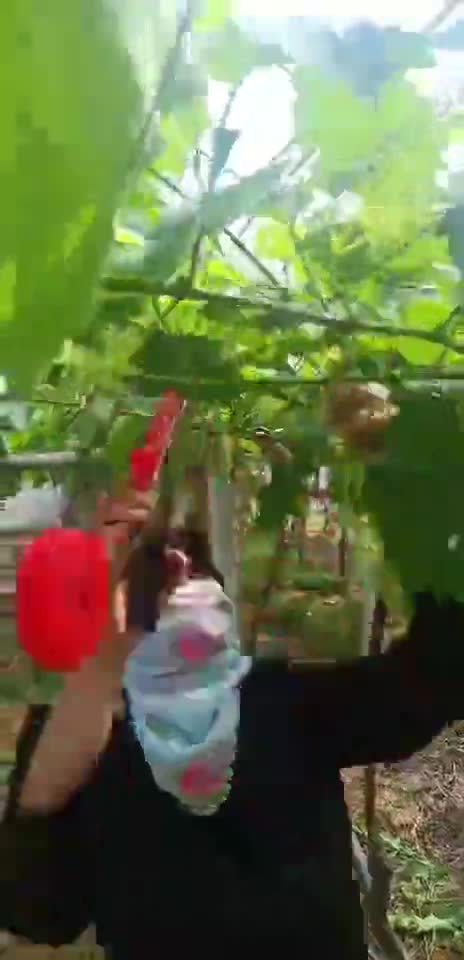 欠的錢算我一份!新婚丈夫欠下160萬「妻主動攬下」苦拚17年還清 翻身買百萬別墅「被讚最佳老婆」