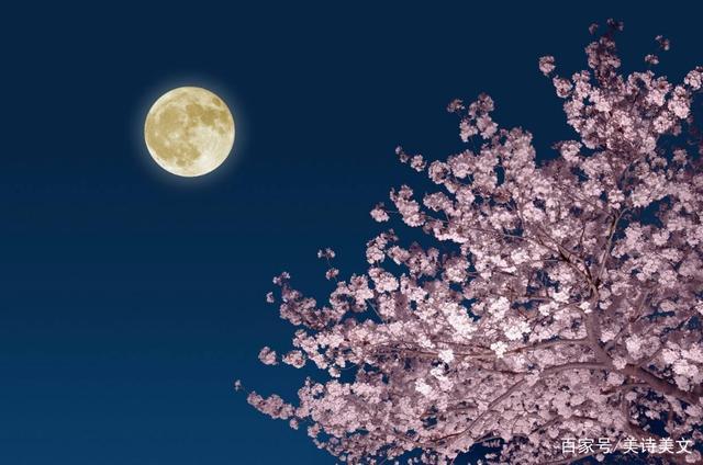 難倒一片高手！詩詞大會考「但願人長久」，百人團「僅9人答對」家長全傻眼：是老師的錯？