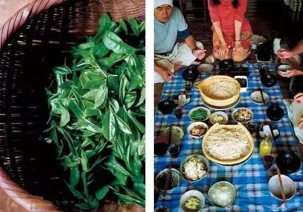歸隱山林！老夫妻「一人燒陶一人裁縫」20年沒買新衣　田園自給自足「攜手度過無數四季」一生只愛一人