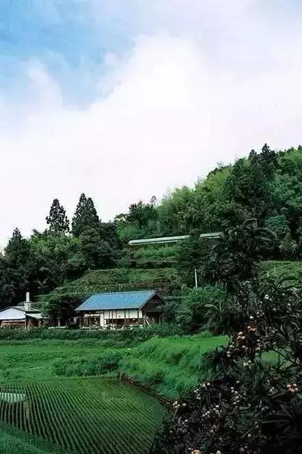 歸隱山林！老夫妻「一人燒陶一人裁縫」20年沒買新衣　田園自給自足「攜手度過無數四季」一生只愛一人