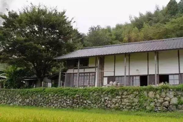 歸隱山林！老夫妻「一人燒陶一人裁縫」20年沒買新衣　田園自給自足「攜手度過無數四季」一生只愛一人
