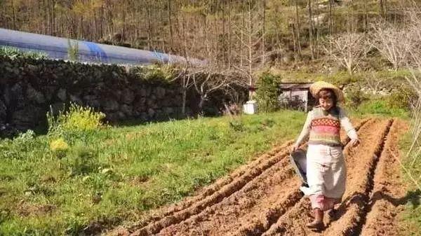 歸隱山林！老夫妻「一人燒陶一人裁縫」20年沒買新衣　田園自給自足「攜手度過無數四季」一生只愛一人
