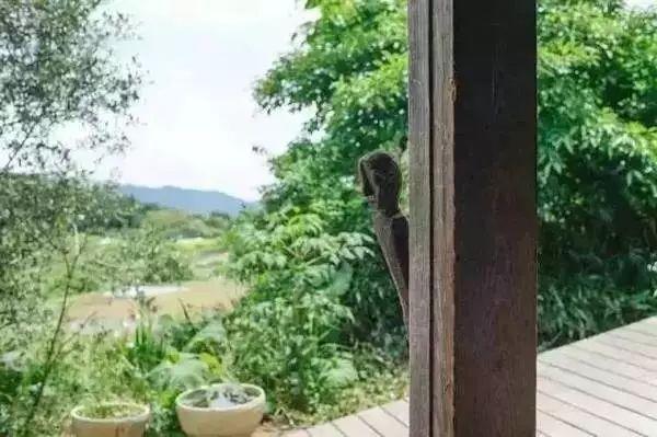 歸隱山林！老夫妻「一人燒陶一人裁縫」20年沒買新衣　田園自給自足「攜手度過無數四季」一生只愛一人