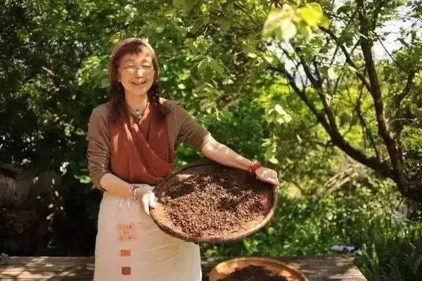 歸隱山林！老夫妻「一人燒陶一人裁縫」20年沒買新衣　田園自給自足「攜手度過無數四季」一生只愛一人