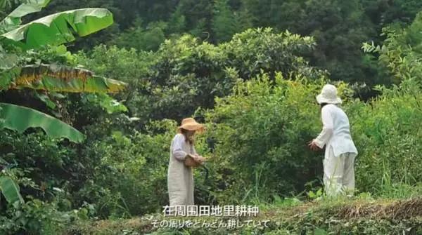 歸隱山林！老夫妻「一人燒陶一人裁縫」20年沒買新衣　田園自給自足「攜手度過無數四季」一生只愛一人