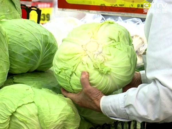 內行的才知道！高麗菜「挑選撇步」又脆又甜   驚曝「菜當西瓜拍打」錯好幾年：成果全糟蹋
