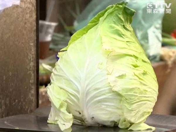 內行的才知道！高麗菜「挑選撇步」又脆又甜   驚曝「菜當西瓜拍打」錯好幾年：成果全糟蹋