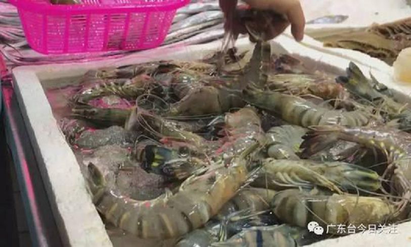 晚餐加菜！網友「買巴掌大巨蝦回家」開心撿到寶　煮熟後剝殼「瞬間愣在原地」哭笑不得：根本詐騙