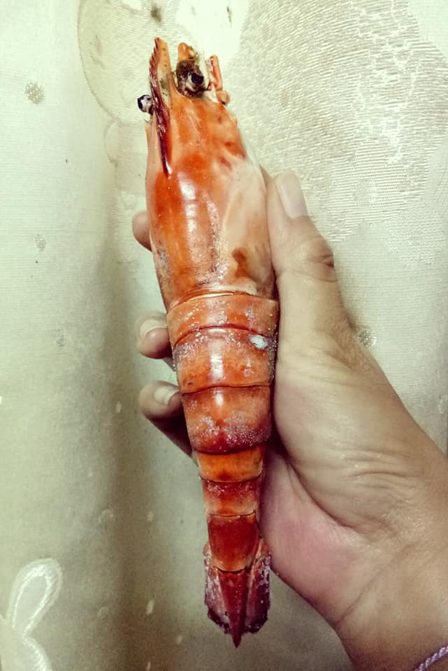 晚餐加菜！網友「買巴掌大巨蝦回家」開心撿到寶　煮熟後剝殼「瞬間愣在原地」哭笑不得：根本詐騙