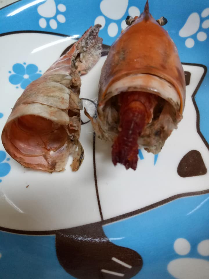 晚餐加菜！網友「買巴掌大巨蝦回家」開心撿到寶　煮熟後剝殼「瞬間愣在原地」哭笑不得：根本詐騙
