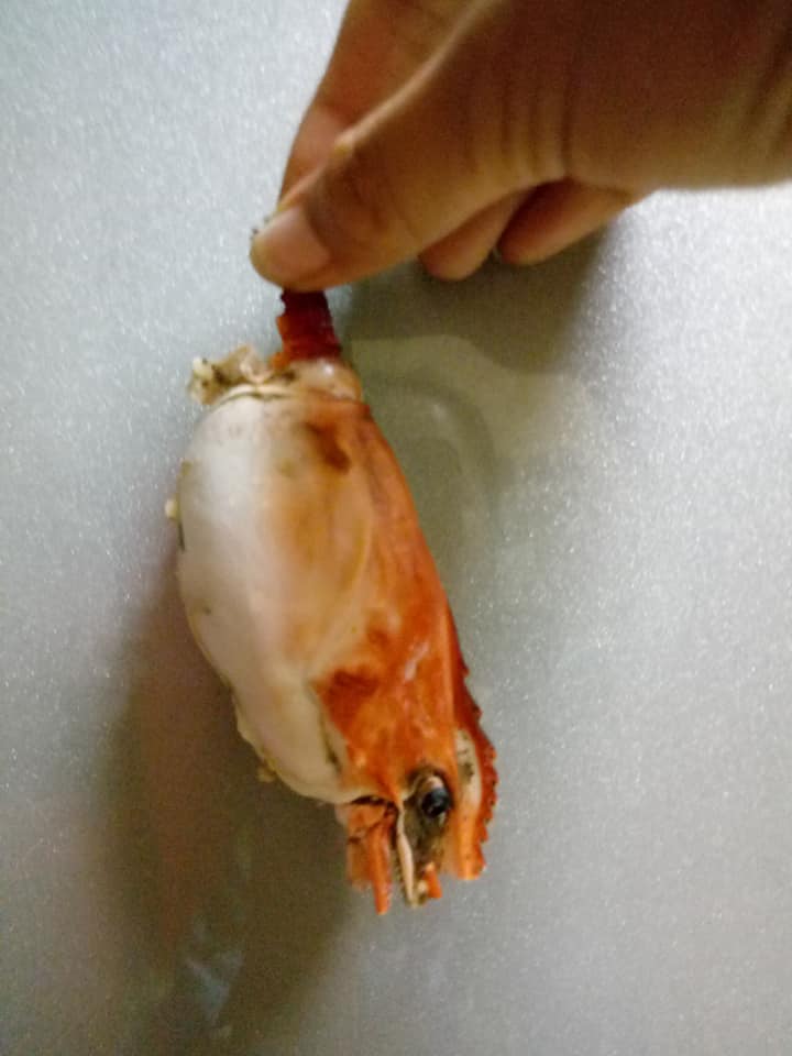 晚餐加菜！網友「買巴掌大巨蝦回家」開心撿到寶　煮熟後剝殼「瞬間愣在原地」哭笑不得：根本詐騙