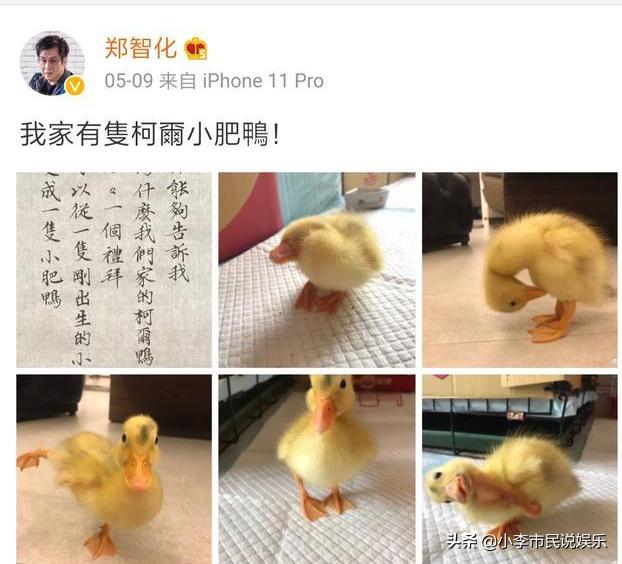 永不認輸！歌手鄭智化淡出21年「今成書法大師」將苦難化成動力　女兒長大「濃眉大眼燦笑」風采不輸老爸