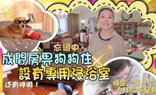 53歲周海媚近萬尺豪宅曝光！「擁超大客廳」裝修古典大氣，愛犬享有「專用浴室」比人還享受