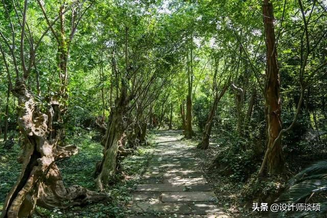 擁抱大自然！一家三口「坐擁6千坪森林」隱居121坪古宅　主人「身穿80元布衣」單純圓滿又知足
